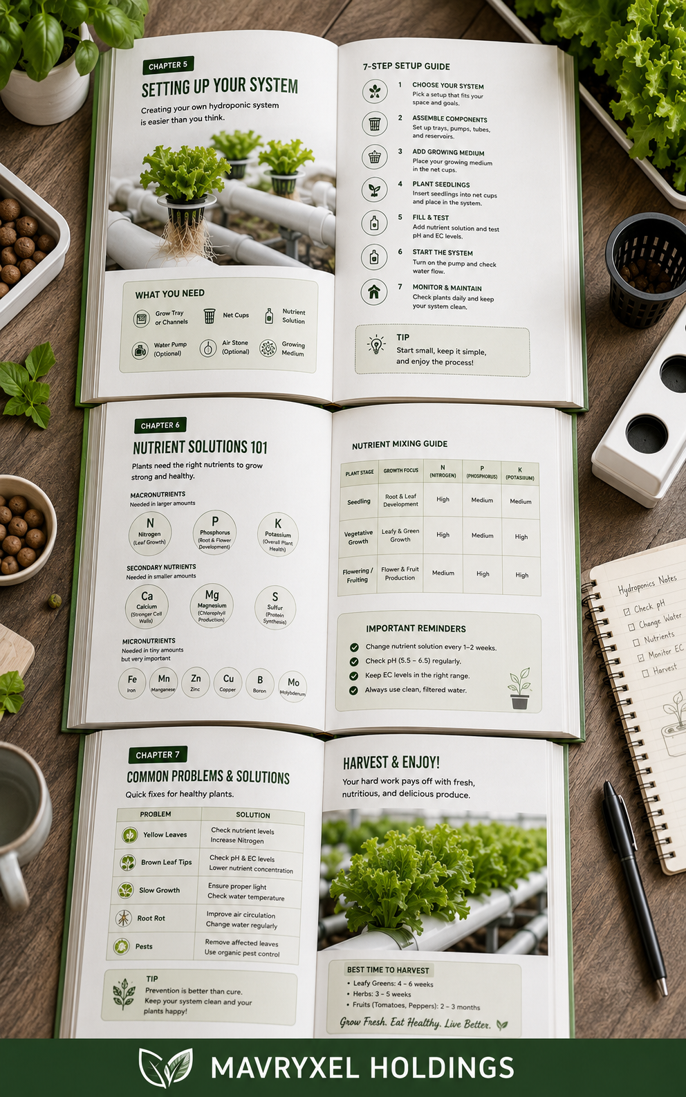 Hydroponics Made Easy – 7-Step DIY Guide (Digital Ebook)